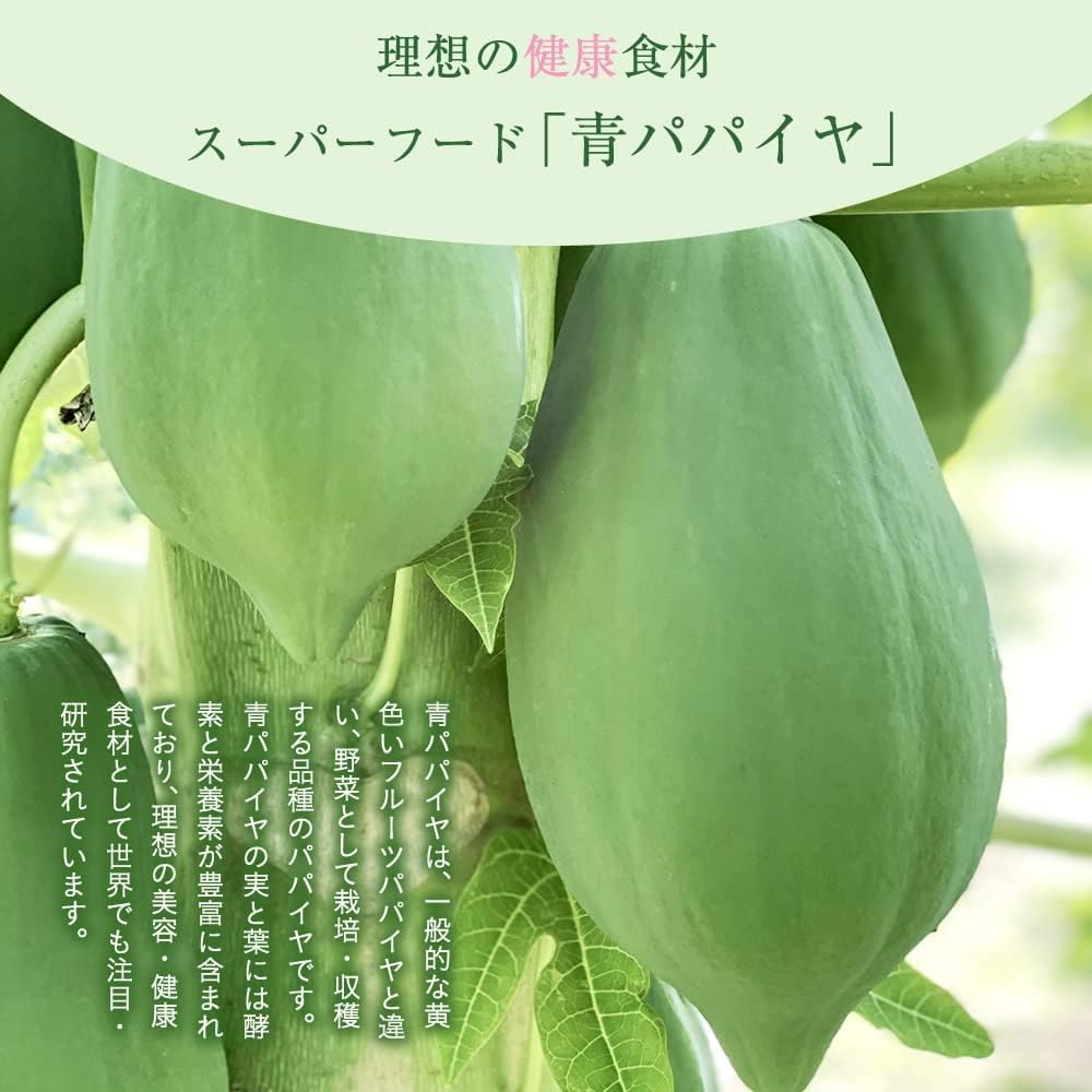 プレミアム有機青パパイヤ実パウダー(30g)