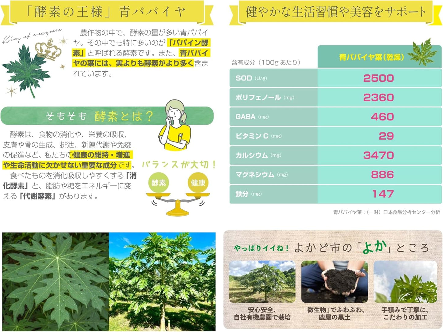 有機青パパイヤ葉っぱ茶(ティーバッグ 1g×30包)