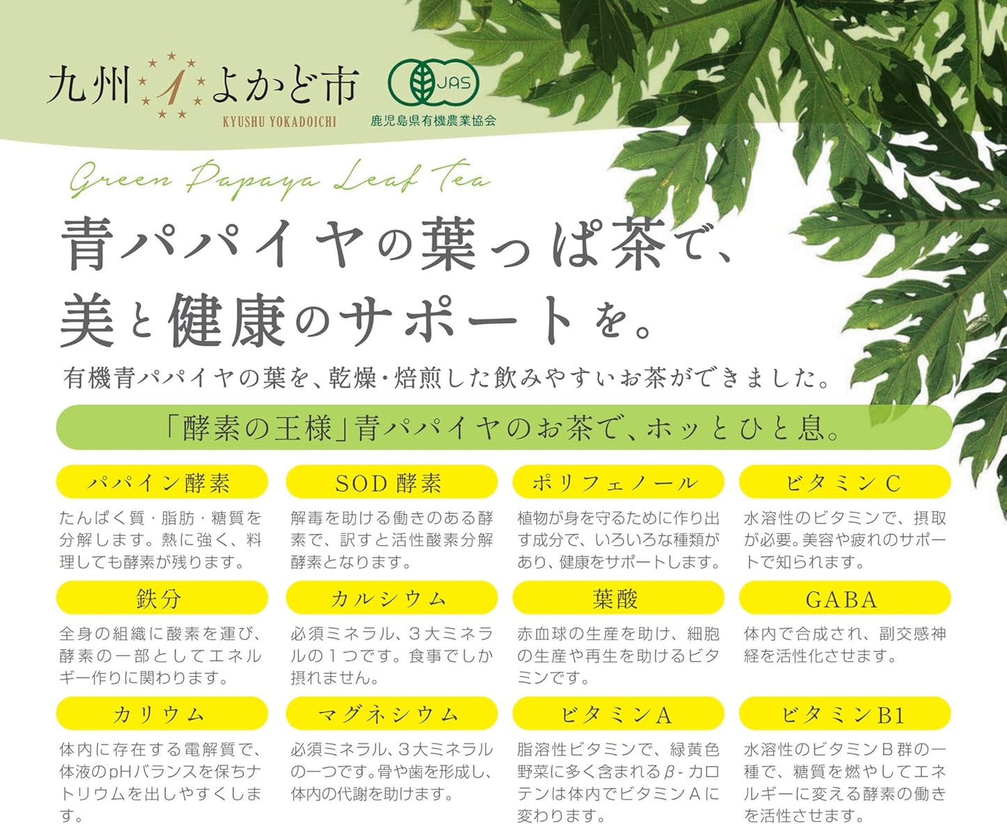 有機青パパイヤ葉っぱ茶(ティーバッグ 2g×15包)